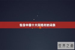 包含中国十大同姓村的词条