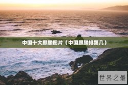 中国十大麒麟图片（中国麒麟排第几）