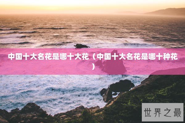 中国十大名花是哪十大花(中国十大名花是哪十种花) 中国十大名花是哪十大花(中国十大名花是哪十种花)