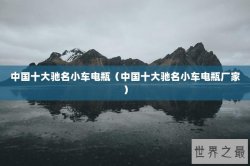 中国十大驰名小车电瓶（中国十大驰名小车电瓶厂家）