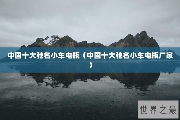 中国十大驰名小车电瓶（中国十大驰名小车电瓶厂家）