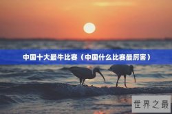 中国十大最牛比赛（中国什么比赛最厉害）