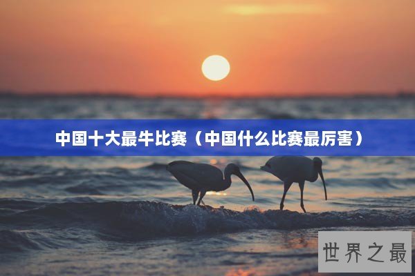 中国十大最牛比赛（中国什么比赛最厉害）