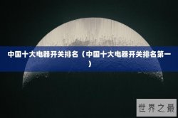 中国十大电器开关排名（中国十大电器开关排名第一）