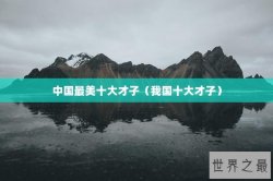 中国最美十大才子（我国十大才子）
