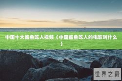 中国十大鲨鱼吃人视频（中国鲨鱼吃人的电影叫什么）