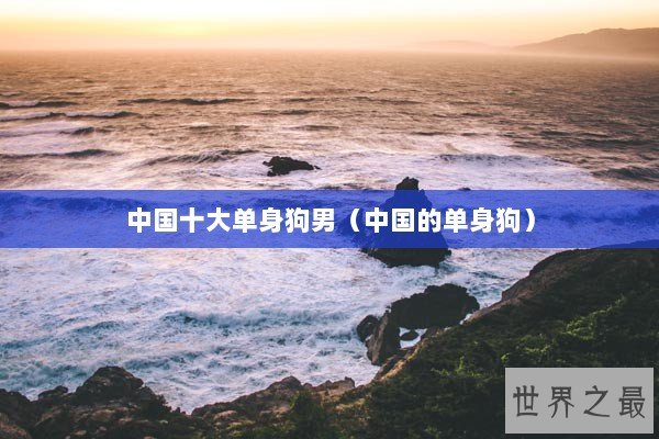 中国十大单身狗男(中国的单身狗) 中国十大单身狗男(中国的单身狗)