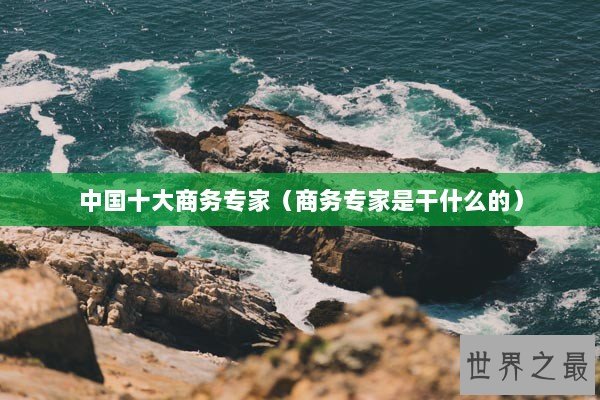中国十大商务专家（商务专家是干什么的）