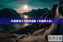 中国拳法十大视频讲解（中国拳大全）