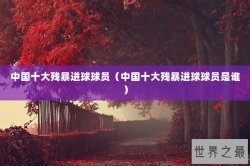 中国十大残暴进球球员（中国十大残暴进球球员是谁）