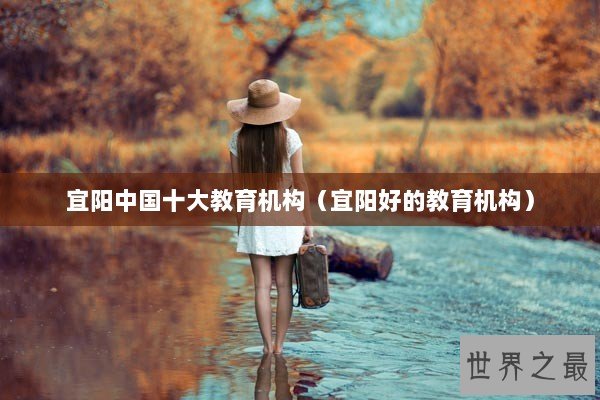宜阳中国十大教育机构（宜阳好的教育机构）