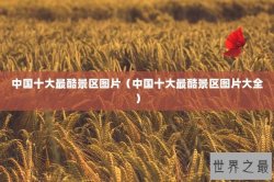 中国十大最酷景区图片（中国十大最酷景区图片大全）