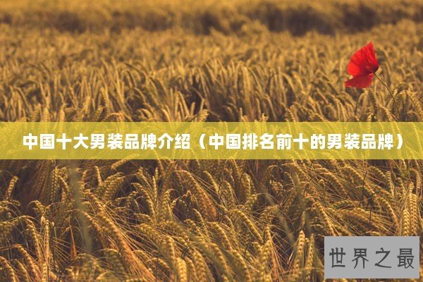 中国十大男装品牌介绍（中国排名前十的男装品牌）