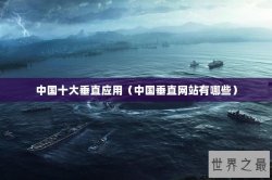 中国十大垂直应用（中国垂直网站有哪些）