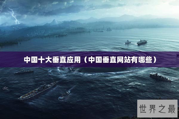 中国十大垂直应用（中国垂直网站有哪些）