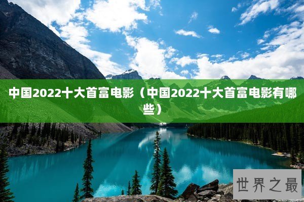 中国2022十大首富电影（中国2022十大首富电影有哪些）