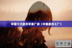 中国十大废弃苹果厂房（中国废弃工厂）