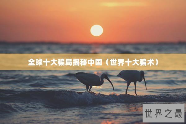 全球十大骗局揭秘中国（世界十大骗术）