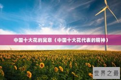 中国十大花的寓意（中国十大花代表的精神）
