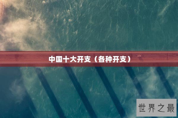 中国十大开支（各种开支）