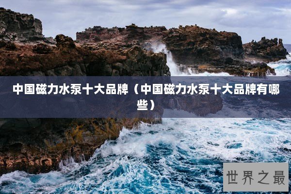 中国磁力水泵十大品牌（中国磁力水泵十大品牌有哪些）