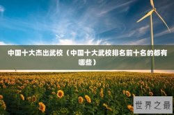 中国十大杰出武校（中国十大武校排名前十名的都有哪些）