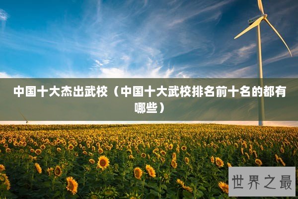 中国十大杰出武校（中国十大武校排名前十名的都有哪些）