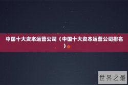 中国十大资本运营公司（中国十大资本运营公司排名）