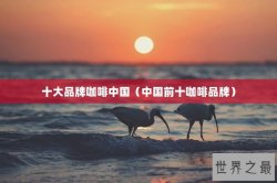 十大品牌咖啡中国（中国前十咖啡品牌）