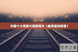 中国十大奇葩大闸蟹图片（最奇葩的螃蟹）