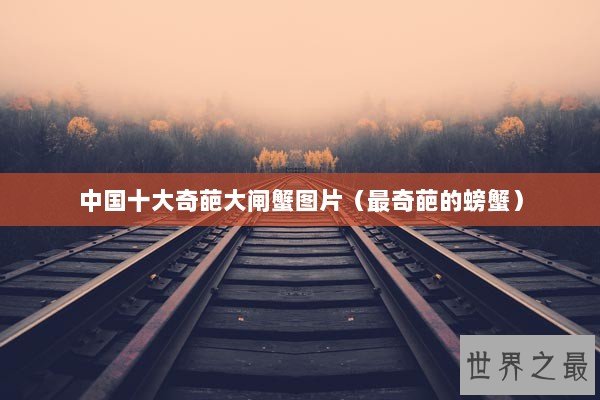 中国十大奇葩大闸蟹图片（最奇葩的螃蟹）