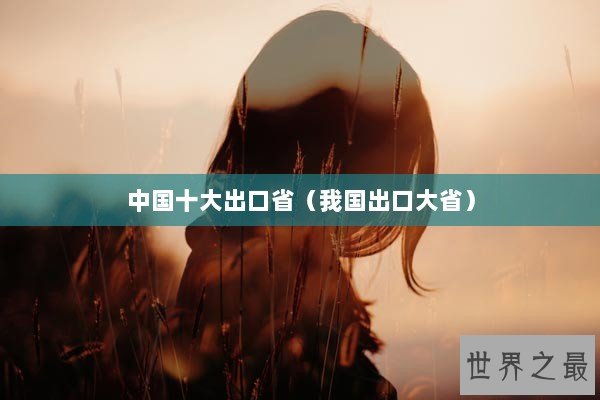 中国十大出口省（我国出口大省）