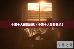 中国十大最酷战机（中国十大最酷战机）