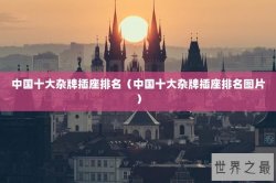 中国十大杂牌插座排名（中国十大杂牌插座排名图片）