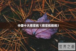 中国十大搅浆机（搅浆机视频）