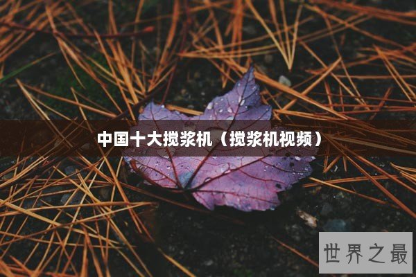 中国十大搅浆机（搅浆机视频）