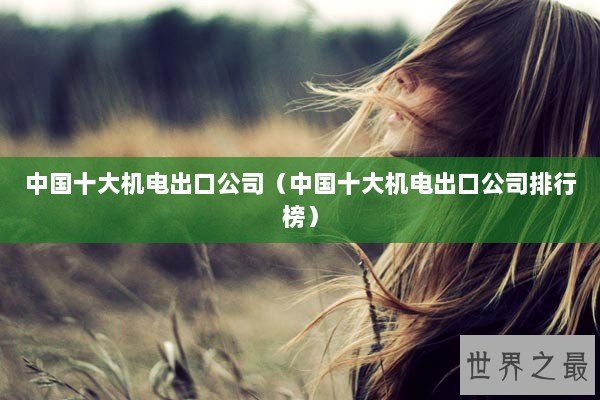 中国十大机电出口公司（中国十大机电出口公司排行榜）