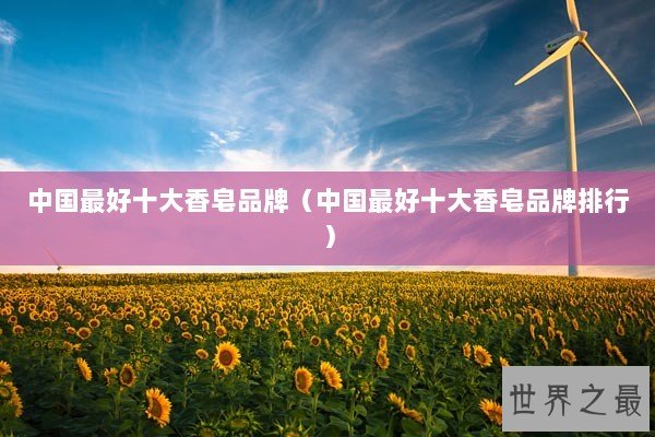 中国最好十大香皂品牌（中国最好十大香皂品牌排行）