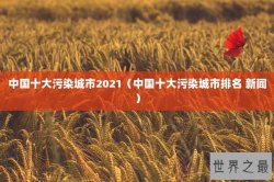 中国十大污染城市2021（中国十大污染城市排名 新闻）