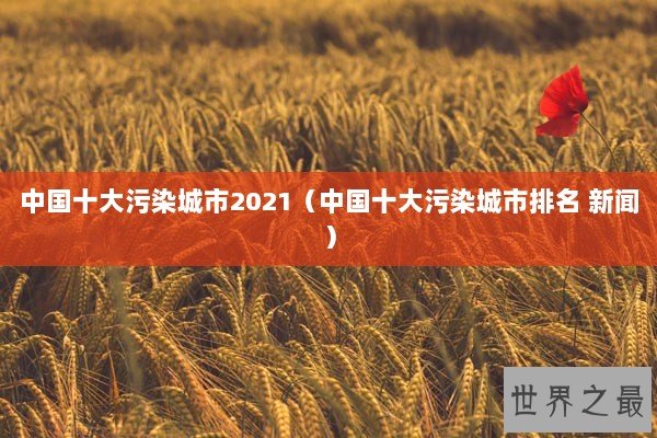 中国十大污染城市2021（中国十大污染城市排名 新闻）