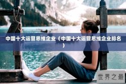 中国十大运营思维企业（中国十大运营思维企业排名）