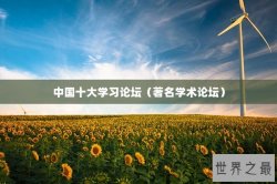 中国十大学习论坛（著名学术论坛）