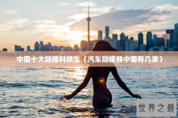 中国十大防撞科技车（汽车防撞器中国有几家）