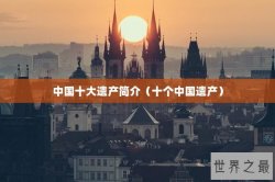 中国十大遗产简介（十个中国遗产）