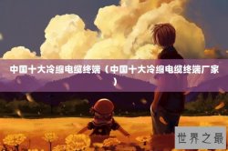 中国十大冷缩电缆终端（中国十大冷缩电缆终端厂家）