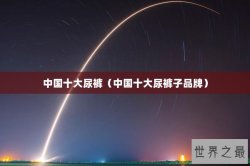 中国十大尿裤（中国十大尿裤子品牌）