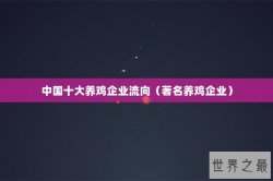 中国十大养鸡企业流向（著名养鸡企业）