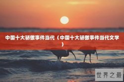 中国十大骄傲事件当代（中国十大骄傲事件当代文学）