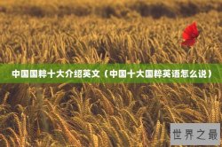 中国国粹十大介绍英文（中国十大国粹英语怎么说）