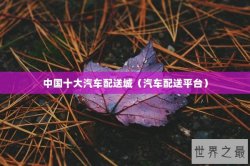 中国十大汽车配送城（汽车配送平台）